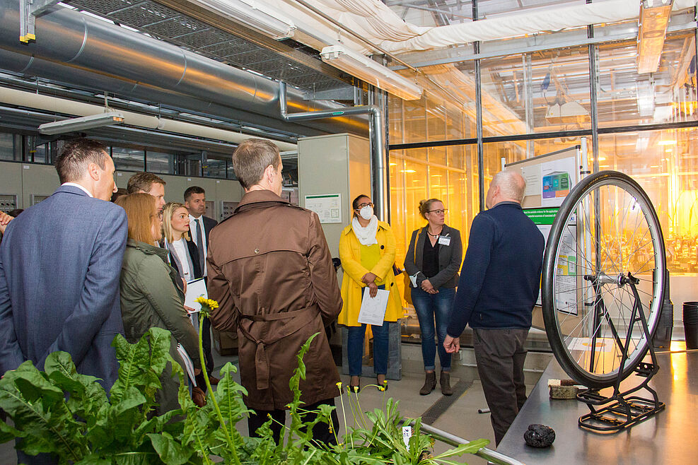 JKI-Forscher Dr. Frank Hartung (rechts) stellt der Delegation der Agrarministerkonferenz bei ihrem Besuch am JKI-Hauptsitz die Arbeit des Fachinstituts für die Sicherheit biotechnologischer Verfahren bei Pflanzen vor. Die Exponate im Vordergrund gehören zu einem Projekt zur Gewinnung von Kautschuk für die Reifenherstellung aus den Wurzeln des russischen Löwenzahns. ©Johannes Kaufmann/JKI