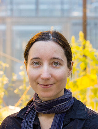 Mareike Rohde