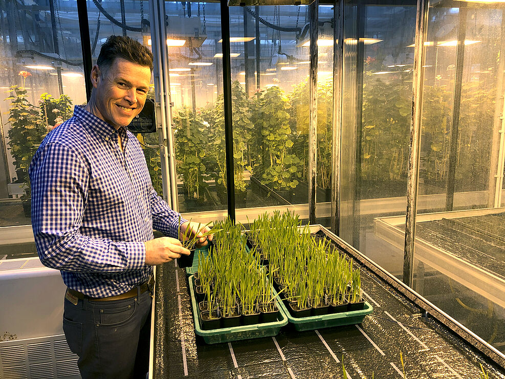 The picture shows a man in his mid-forties, wearing a checked shirt. He looks likeable. He is standing in a greenhouse, in front of him a table with small grain plants. He is holding a plant in his hand and turns sideways to smile at the camera.