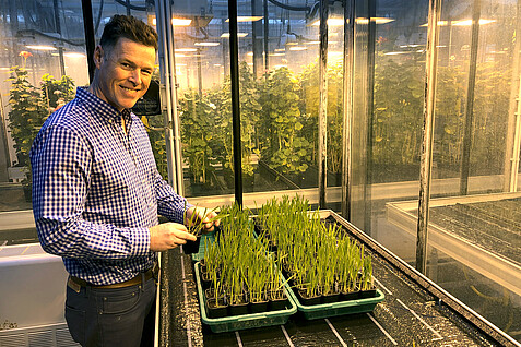 The picture shows a man in his mid-forties, wearing a checked shirt. He looks likeable. He is standing in a greenhouse, in front of him a table with small grain plants. He is holding a plant in his hand and turns sideways to smile at the camera.