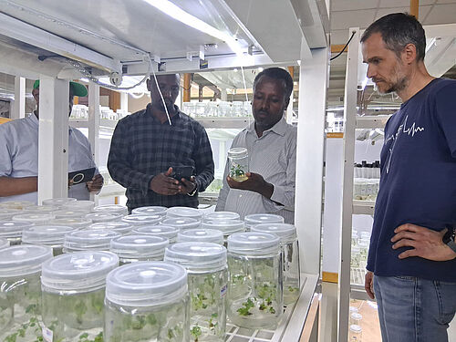 Im „Labor für Molekulare Biotechnologie“ der Forschungsstation Holetta wurden JKI-Züchtungsforscher Prof. Benjamin (rechts) weitere Experimente vorgestellt. © C. Harms/JKI