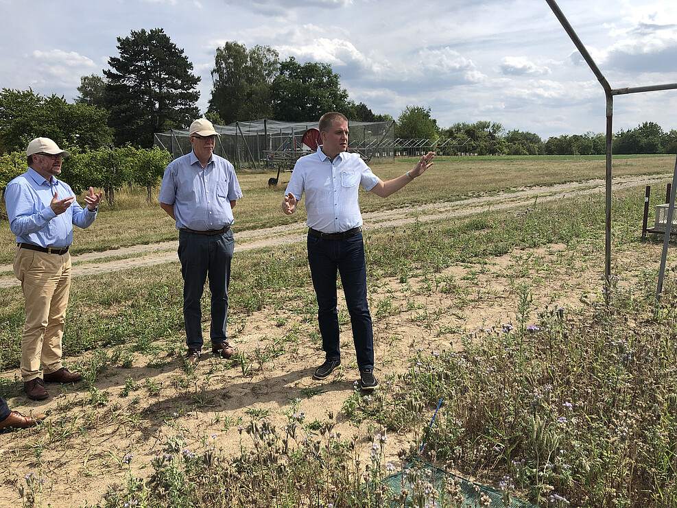 Dr. Silvio Erler erläutert den beiden Gästen von der Landwirtschaftskammer Niedersachsen das Vorgehen bei der Anlage von Halbfreilandversuchen mit Honigbienen. © S. Hahn/JKI