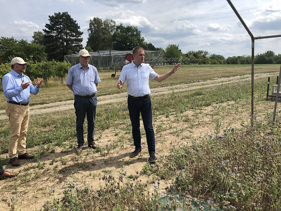 
	Dr. Silvio Erler erläutert den beiden Gästen von der Landwirtschaftskammer Niedersachsen das Vorgehen bei der Anlage von Halbfreilandversuchen mit Honigbienen. © S. Hahn/JKI
