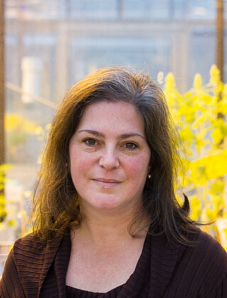 Dr. Adriana  Giongo