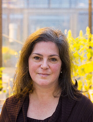 Dr. Adriana Giongo
