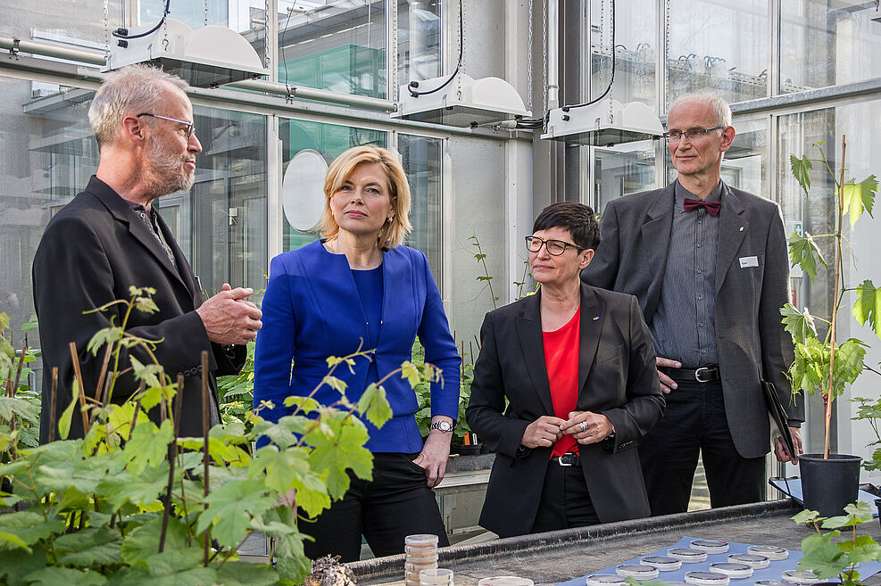 
	BMin Julia Klöckner besucht JKI-Standort Siebeldingen (11.4.2019): Prof. Michael Fischer (JKI) erläutert Versuche zur Esca-Krankheit, mit Frau Julia Klöckner Landtagsabgeordnete Christine Schneider, re: Prof. Wilhelm Jelkmann
