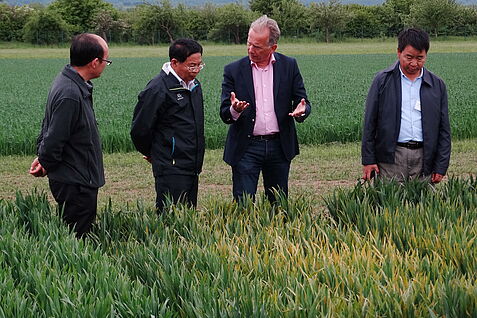 Teilnehmer stehend im Feld zur Veranstaltung in Deutschland mit deutschen und chinesischen Wissenschaftlern zu dem von den Gästen favorisierten Thema „Innovative Tools in Plant Breeding Research“.