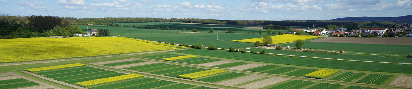 Eine Landschaft mit kleinen gelben (Raps) und grunen (junges getreide) streifenförmigen Parzelle nebeneinander. Vereinzelte Gebäude und Horizont sind im Hintergrund zu sehen.n