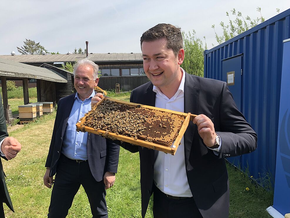 Braunschweigs Oberbürgermeister Dr. Thorsten Kornblum (SPD) geht beim Antrittsbesuch am JKI-Messeweg auf Tuchfühlung mit Honigbienen (c) S. Hahn/JKI