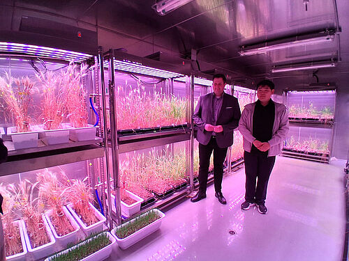 At Southkoreas’ National Institute for Crop and Food Science (NICS) Dr Andreas Stahl (left) from the JKI visited an experimental set-up in the climate chamber connected to their joint project to develop methods for researching heat and drought stress of wheat. © C. Harms/JKI