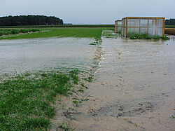 Das Versuchsfeld Dahnsdorf hat so manches Wetterextrem überstanden - wie die Überschwemmung im Jahr 2002.